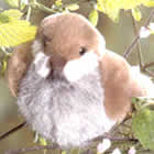 Save this Wren, handmade by Kosen in Germany! (Buy one!)