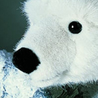 Kosen Polar Bear "Olaf"