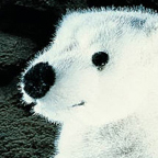 Kosen Polar Bear "Udo"