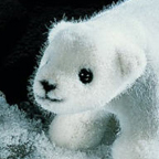 Kosen Polar Bear Cub