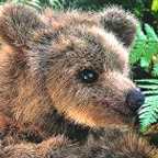 Kosen Bear "Brummel"