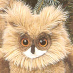 Kosen Horned Owl