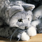 Kosen Bray Striped Cat "Charly"