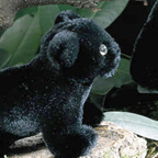 Kosen Panther Cub "Rangi"