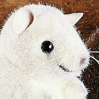 Kosen White Mouse