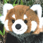 Kosen Red Panda "Ailu"