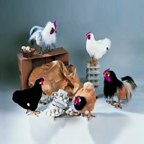 Kosen Studio Series Chickens & Roosters