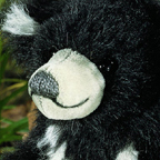 Kosen Limited Edition Sloth Bear 
