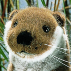Kosen Small Otter "Ottie"