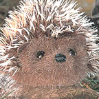 Kosen Mini Hedgehog "Pieks"
