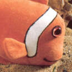 Kosen Anemonefish