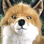 Kosen Fox "Felix"