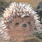 Kosen Mini Hedgehog "Pieks"