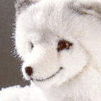 Kosen Arctic Fox