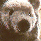 Kosen Small Brown Bear "Benni"
