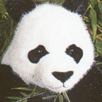 Kosen Panda (sittin)