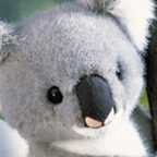 Kosen Koala Bear