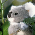 Kosen Koala Bear Cub