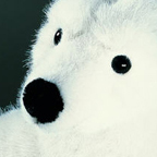 Kosen Polar Bear "Lasse"