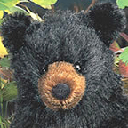 Kosen Black Bear "Bari"