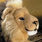 Kosen Lion "Shari"