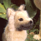 Kosen German Shepherd Puppy
