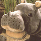 Kosen Small Hippo (standing)