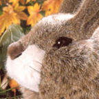 Kosen Rabbit (crouching)