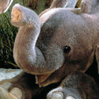 Kosen Baby Elephant "Kira"