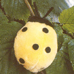 Kosen Yellow Lady Bug