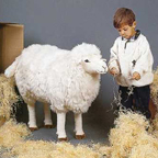 Kosen Studio Series Sheep