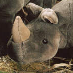 Kosen Mini Rhino