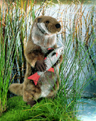 NEW FOR 2006! "Otto" the Otter with "Rotfeder" the Fish - Hand made by Kosen in Germany.